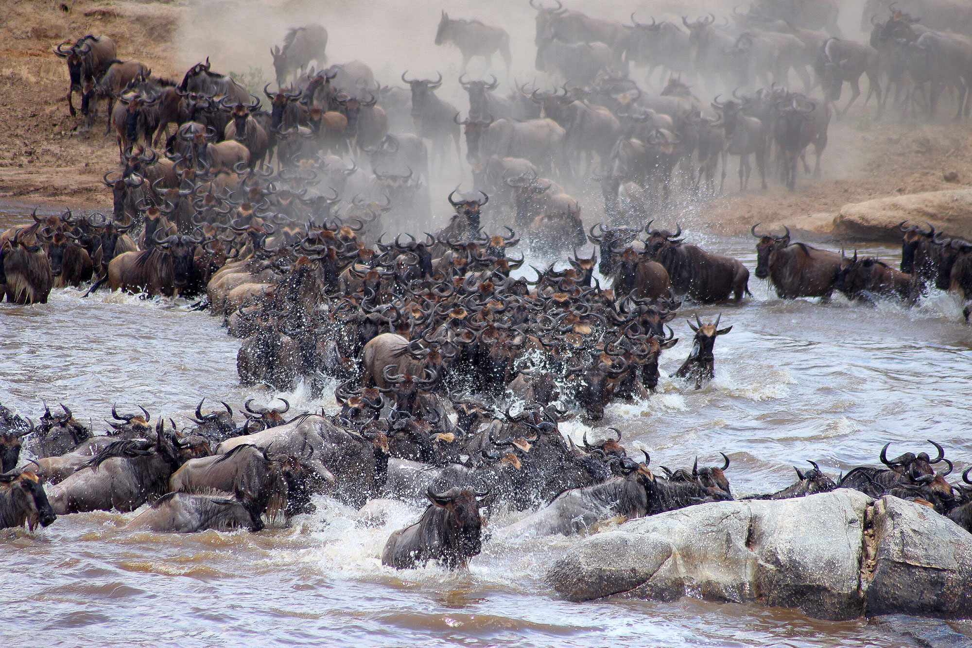 En Tanzanie pour la grande migration by Ilanda