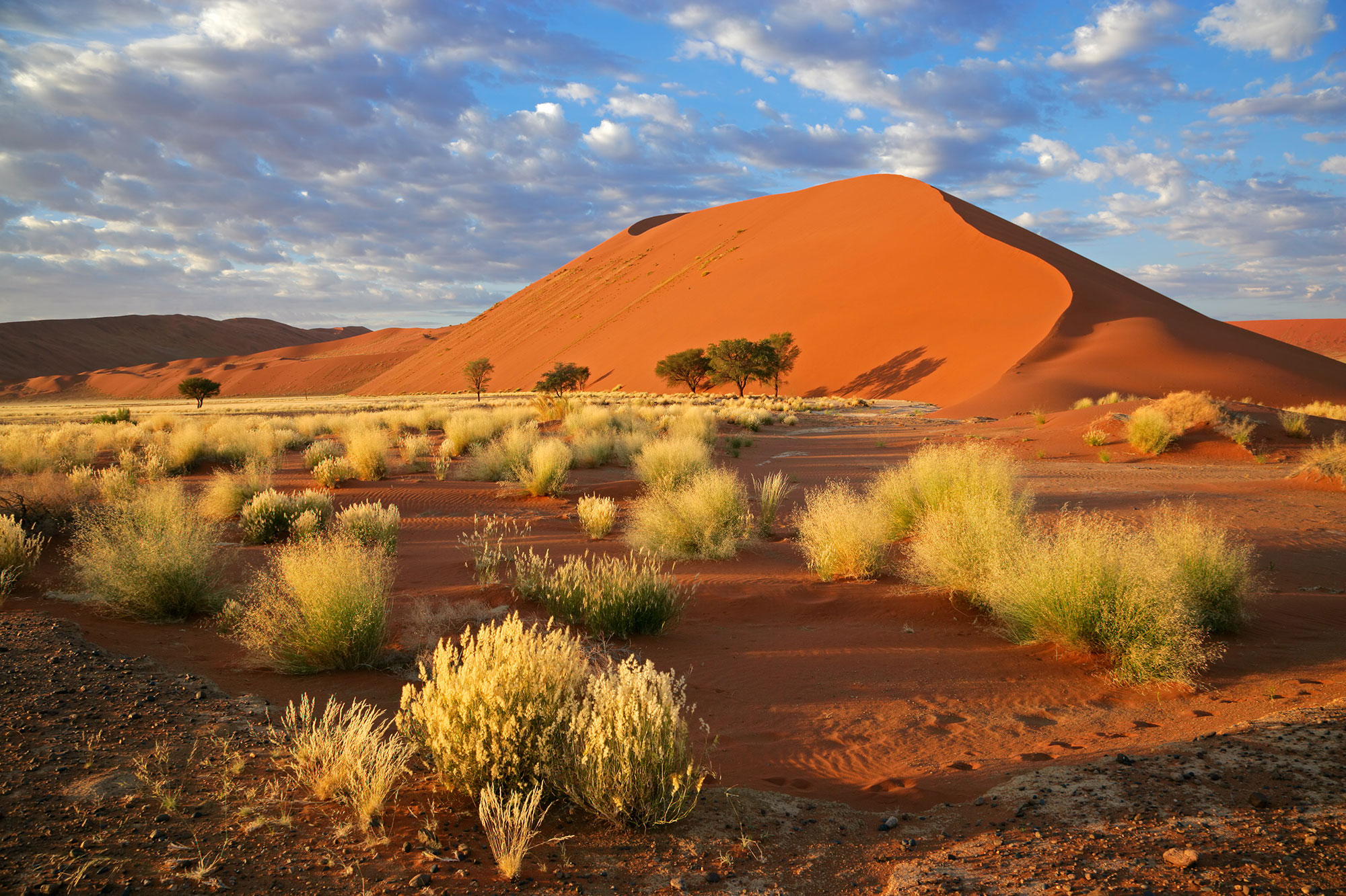 À la découverte du désert du Namib by Ilanda